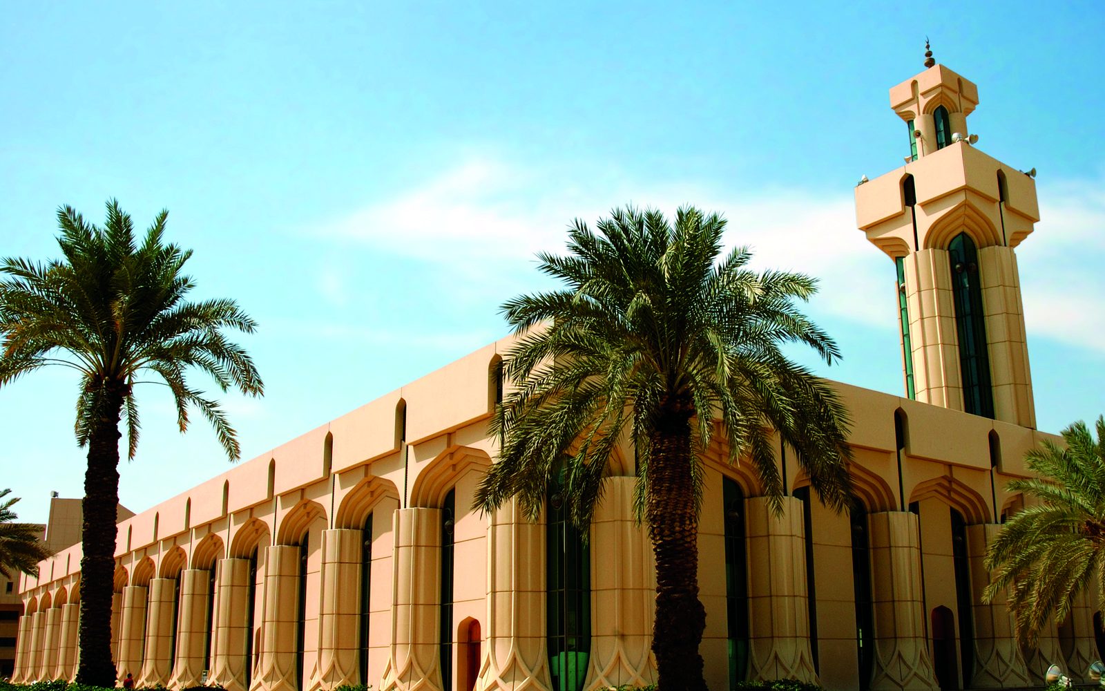 King Saud University